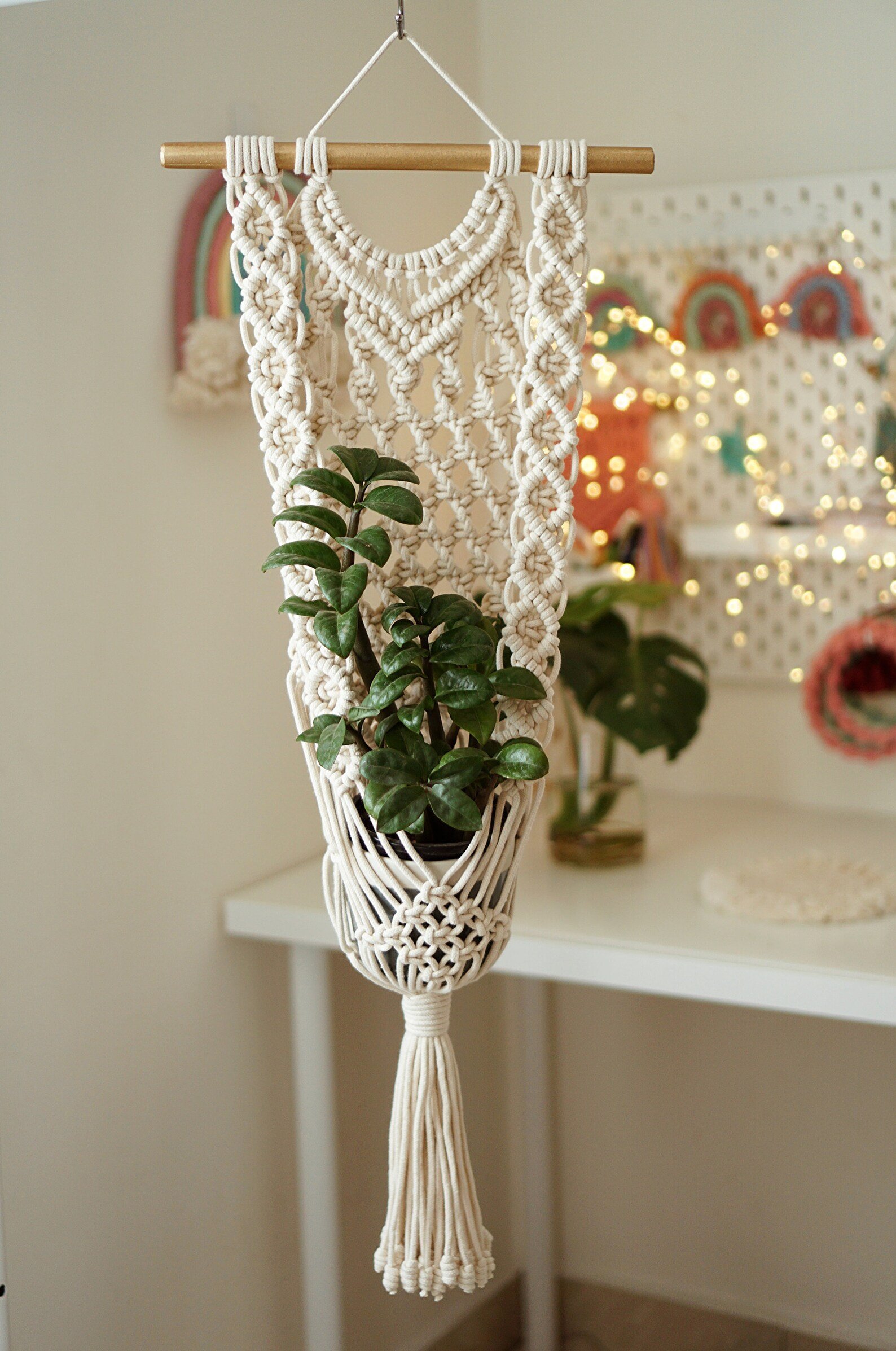 Elegant Plant buying Hanger